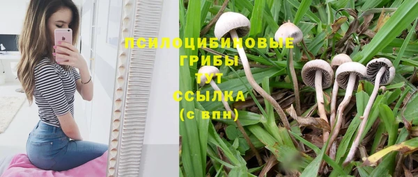 MESCALINE Горняк