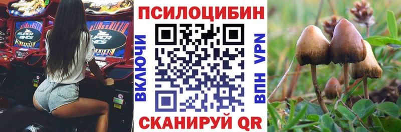 Купить где  Ишим  Псилоцибиновые грибы GOLDEN TEACHER 